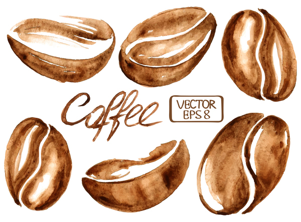 600x443 Hand Drawn Watercolor Coffee Beans Vector Free Download