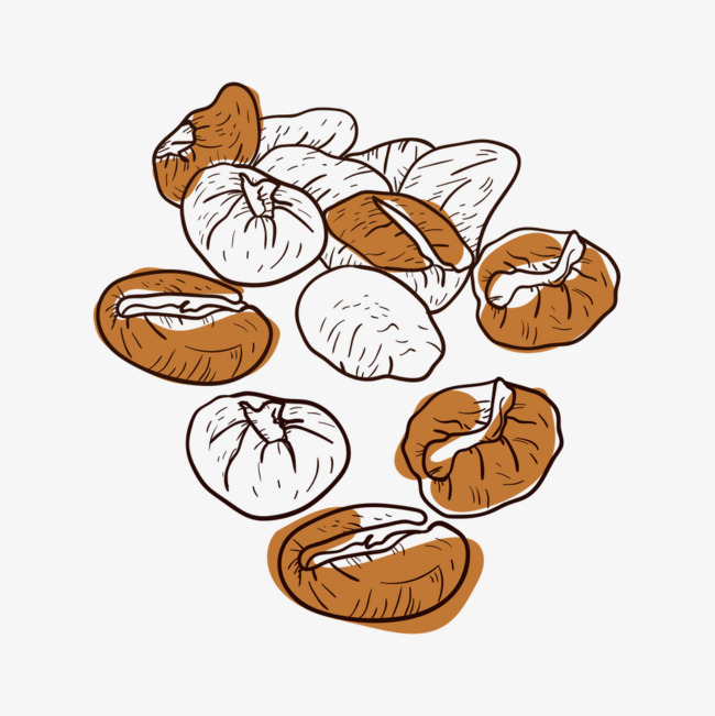 650x651 Vector Watercolor Coffee Beans, Vector Coffee Beans, Watercolor