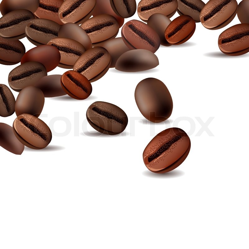 800x800 White Background With Roasted Coffee Beans Stock Vector Colourbox