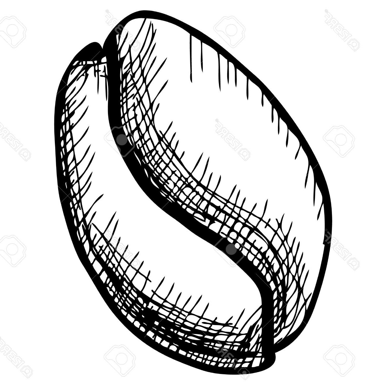 1244x1300 Coffee Clipart Seed 3175681