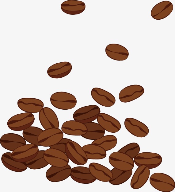 571x625 Coffee Beans, Coffee Vector, Coffee, Beans Png And Vector For Free