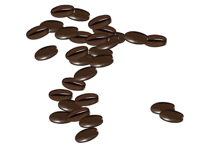 700x490 Coffee Beans Vector Free Vector Art