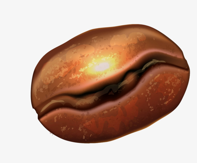 650x537 Coffee Beans Vector Material, Coffee Vector, Coffee Beans, Vector