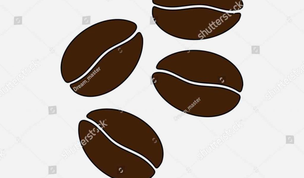 1024x600 The Images Collection Of Coffee Bean Vector S Fully Editable Stock