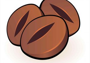 300x210 Coffee Bean Clipart