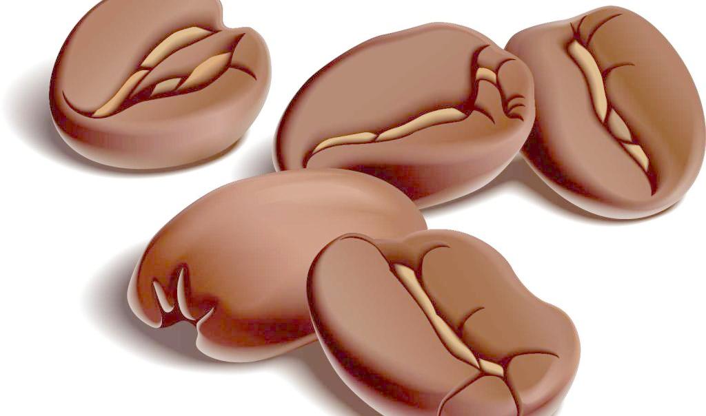 1024x604 Coffee Bean Vector Free Download Ai Files