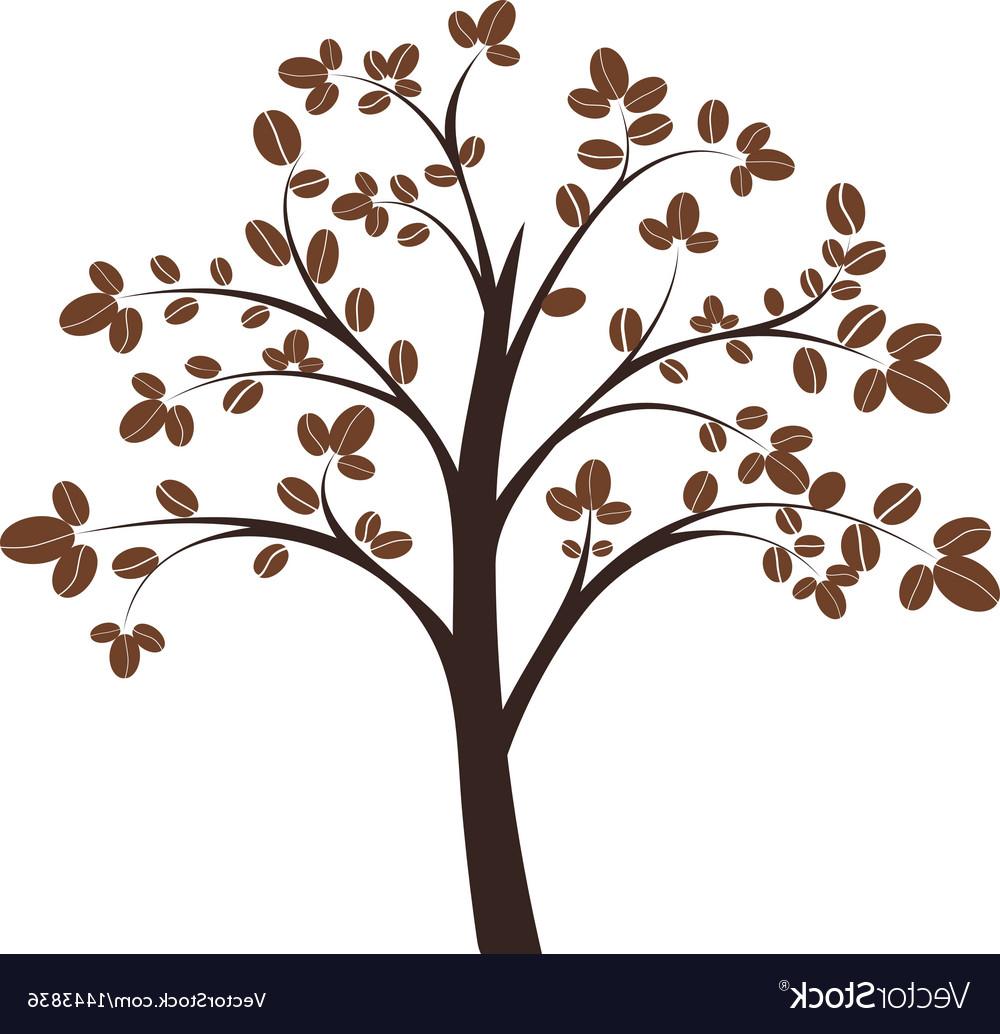 1000x1034 Best Hd Coffee Tree Vector Drawing