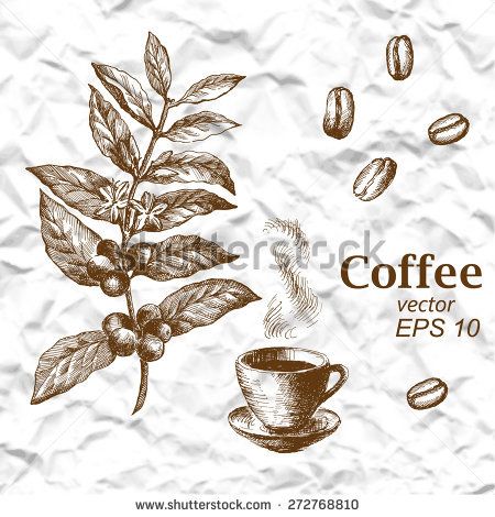450x470 Pin By Meghcallie On Images Coffee Plant, Vintage