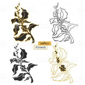 300x300 Set Of Branch Of Coffee Tree Vector Illustration Gm Createmepink