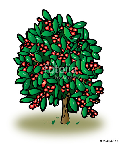418x500 Coffee Plant Stock Image And Royalty Free Vector Files On Fotolia