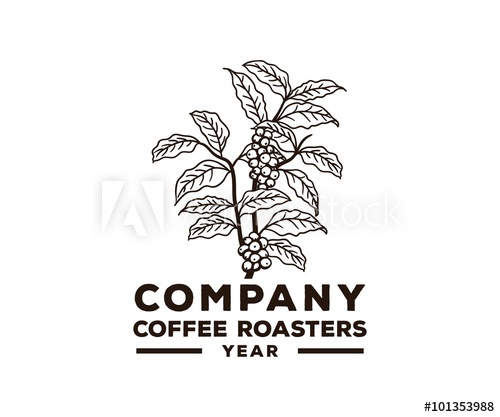 500x417 Coffee Tree Bean Brewing