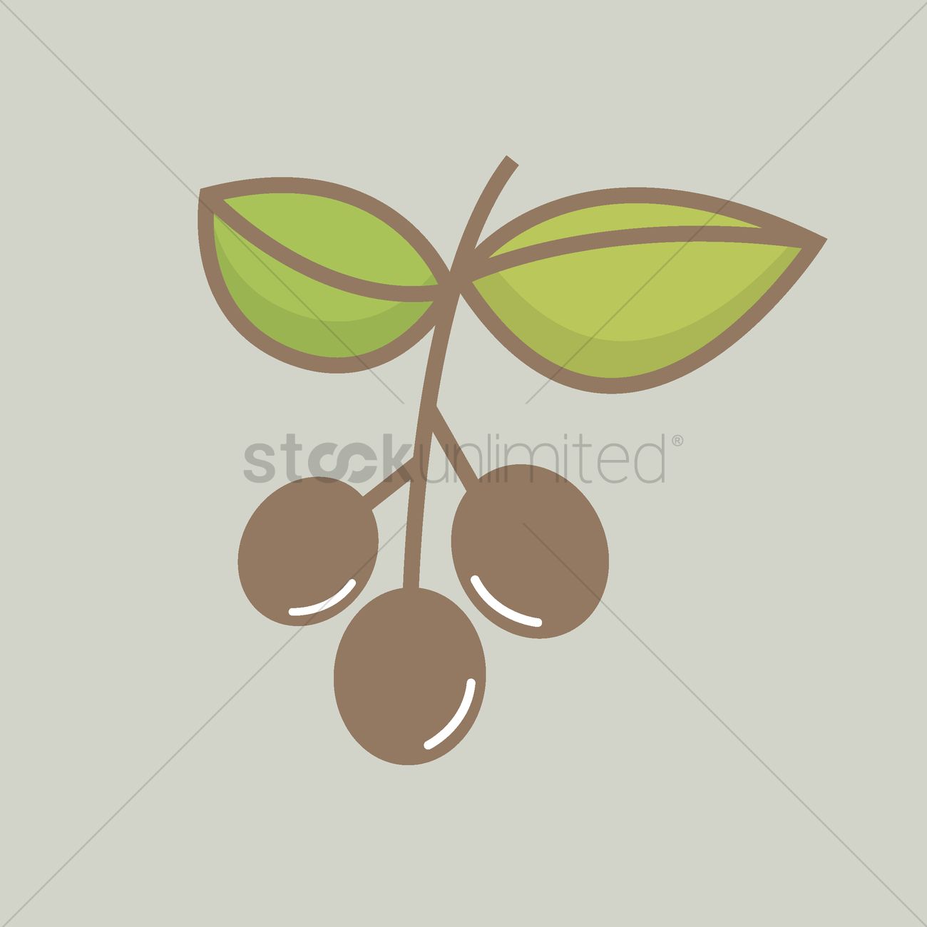 1300x1300 Coffee Plant Vector Image