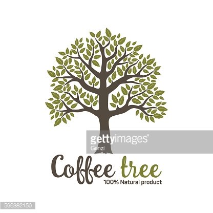 416x416 Hand Drawn Graphic Coffee Tree With Green Vector Premium Clipart
