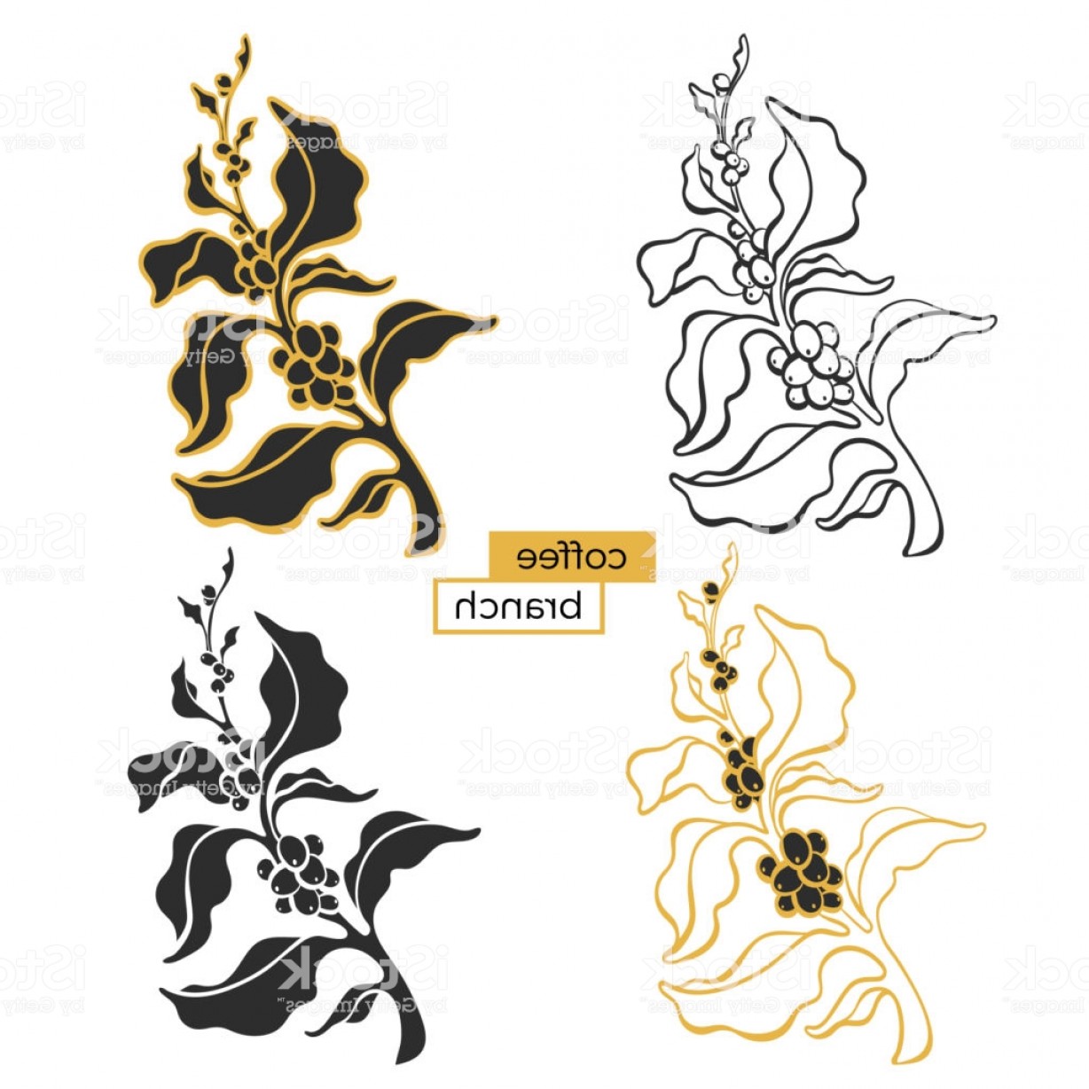 1228x1228 Set Of Branch Of Coffee Tree Vector Illustration Gm Createmepink