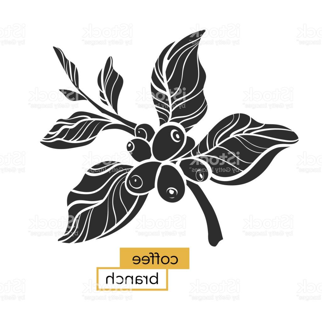 1024x1024 Top 10 Coffee Tree Branch Vector Library