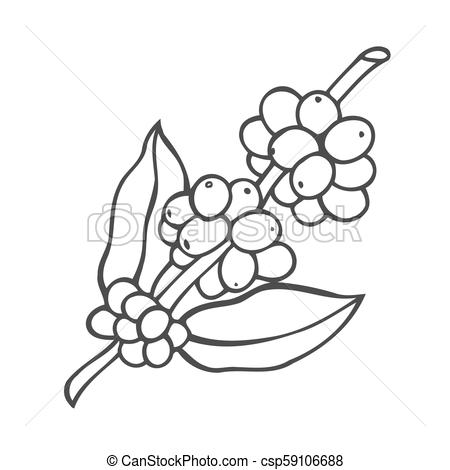 450x470 Vector Line Icon Of Coffee Tree. Hand Drawn Vector Line Icon Of