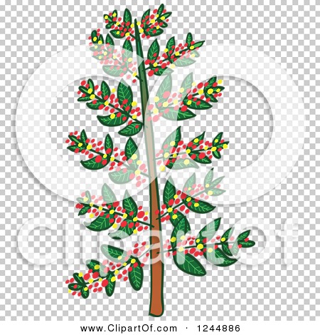 450x470 Clipart Of A Coffee Tree