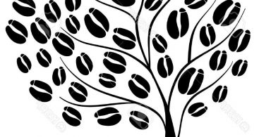 367x195 Coffee Bean Tree Vector Free Vector Art, Images, Graphics Amp Clipart