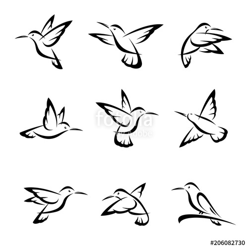 500x500 Colibri Set. Vector Stock Image And Royalty Free Vector Files On
