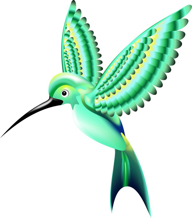618x700 Uccello Colibri Uccello Hummingbird Vector Sticker