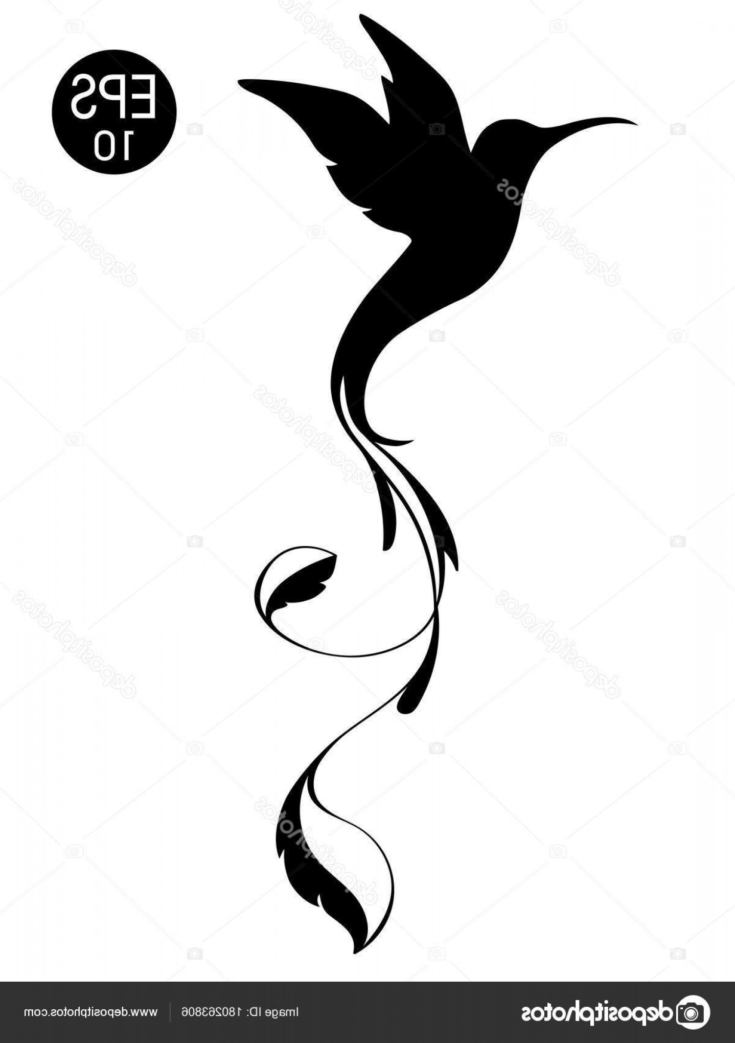 1438x2040 Stock Illustration Colibri Bird Silhouette Black Vector Orangiausa