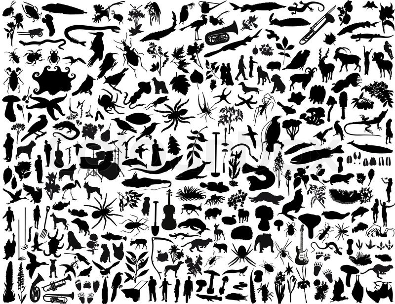 800x615 Biggest Collection Of Collage Vector Illustration Silhouettes