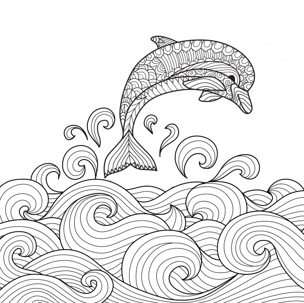 626x625 Colouring Book Vectors, Photos And Psd Files Free Download