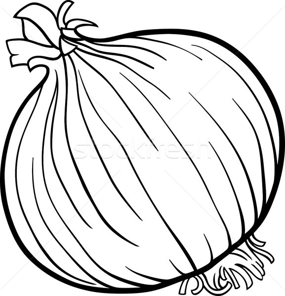 577x600 Onion Vegetable Cartoon For Coloring Book Vector Illustration