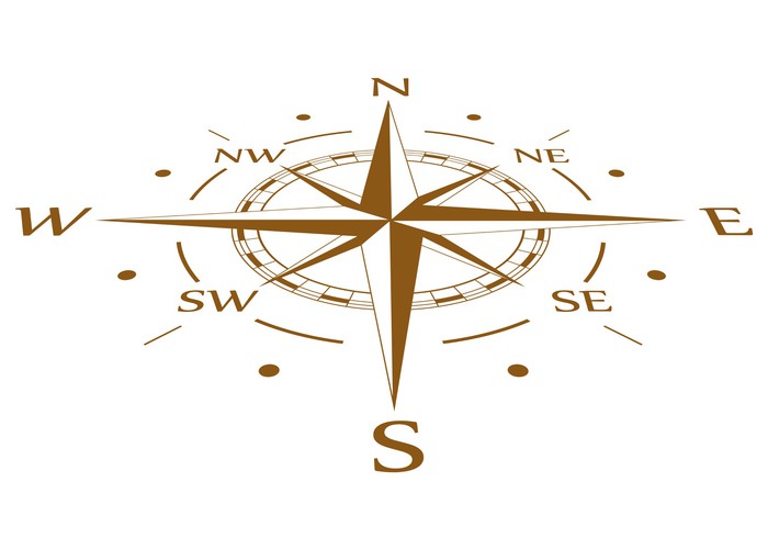 700x490 Brown Compass Vector Compressed Sticker We Live To Change