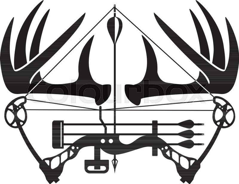 800x617 Whitetail Buck Antlers And Compound Bow Stock Vector Colourbox