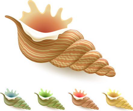 442x368 Conch Vector Free Vector Download (58 Free Vector) For Commercial