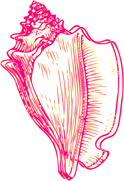 408x594 Pink Yellow Conch Shell 2 Clip Art