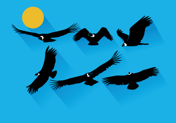 352x247 Condor Vector Free Vector Download 345645 Cannypic