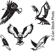 192x179 Condors Vector Clipart Eps Images. 470 Condors Clip Art Vector