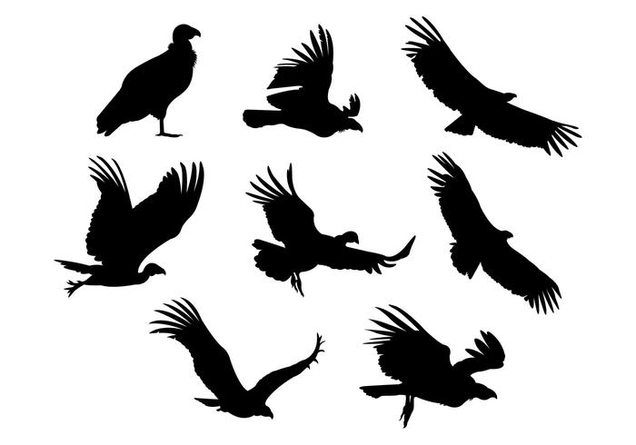 700x490 Silhouette Vector Of Condor Bird