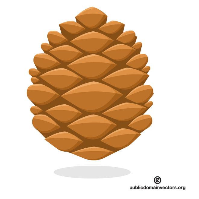660x660 Pine Cone Vector Image