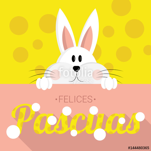 500x500 Conejo De Pascua