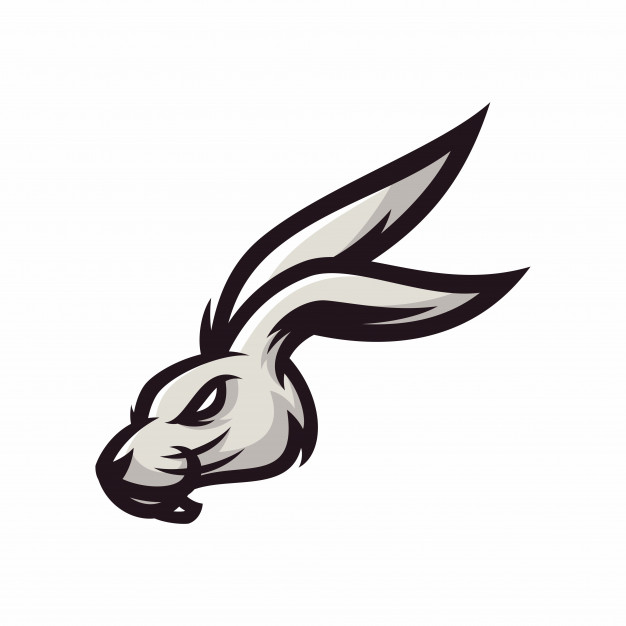 626x626 Conejo Vector Logo Icono Mascota Descargar