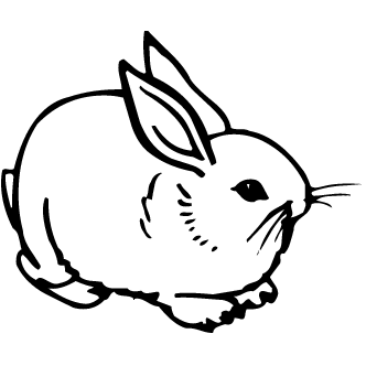 332x332 Vector De Conejos