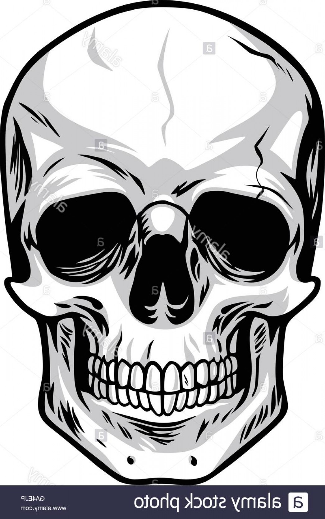 1046x1668 Stock Photo Skull Vector Art Illustrations Shopatcloth
