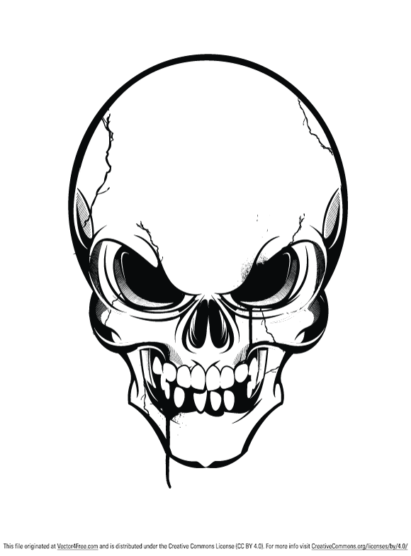 580x785 Free Skull Vector