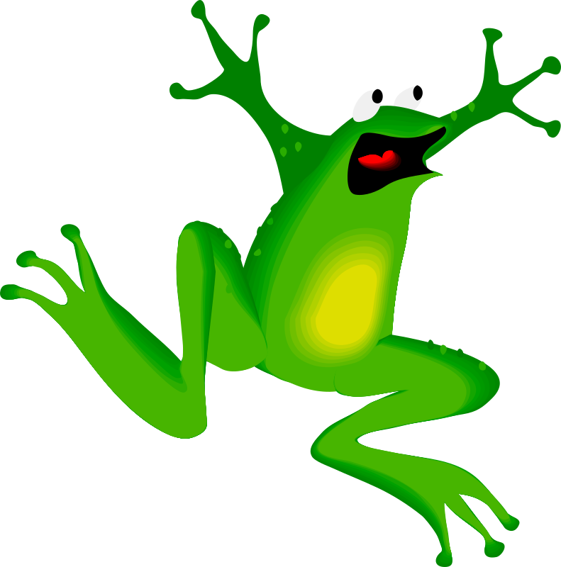 791x800 Frog Vector