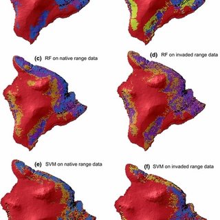 320x320 Pdf) Predicting The Distribution Potential Of An Invasive Frog