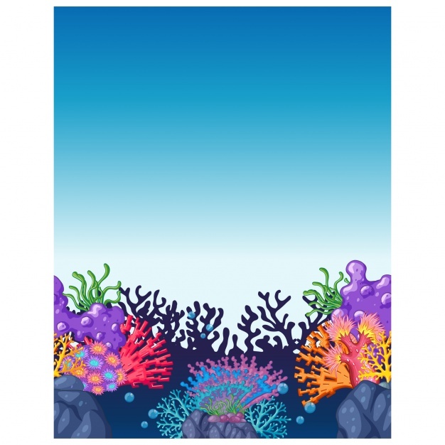 626x626 Coral Vectors, Photos And Psd Files Free Download