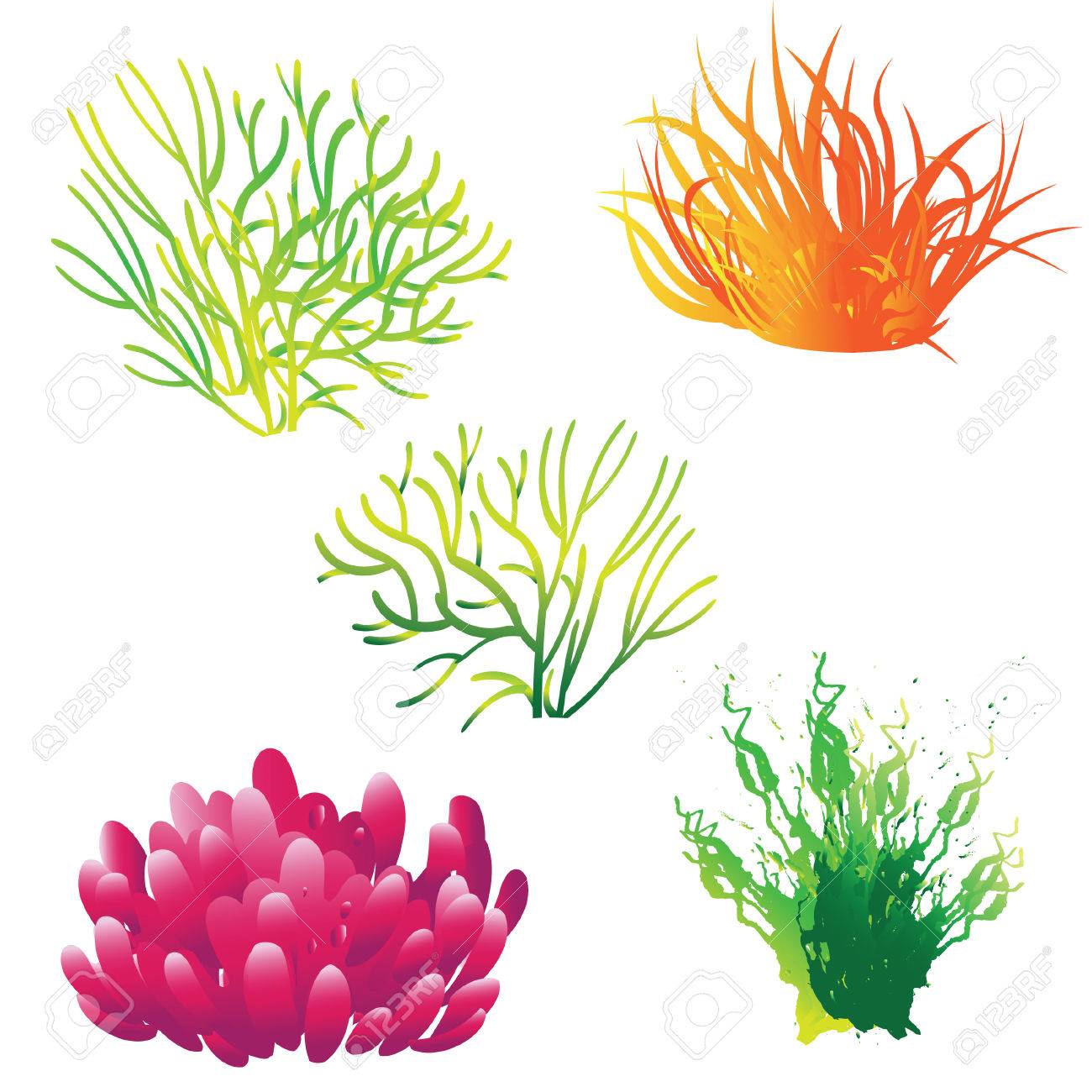 1300x1300 Reef Clipart Vector