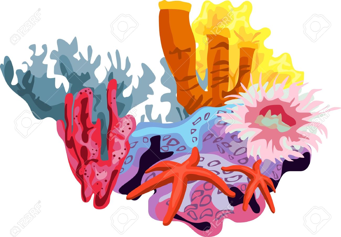 1300x905 Collection Of Free Corol Clipart Vector. Download On Ubisafe