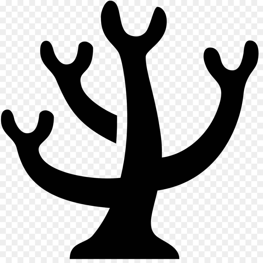 900x900 Computer Icons Coral Reef