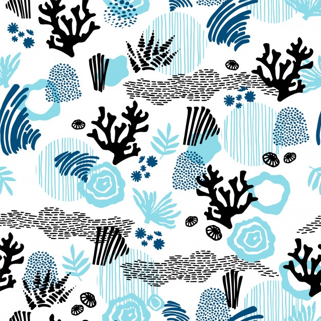 626x626 Coral Vectors, Photos And Psd Files Free Download
