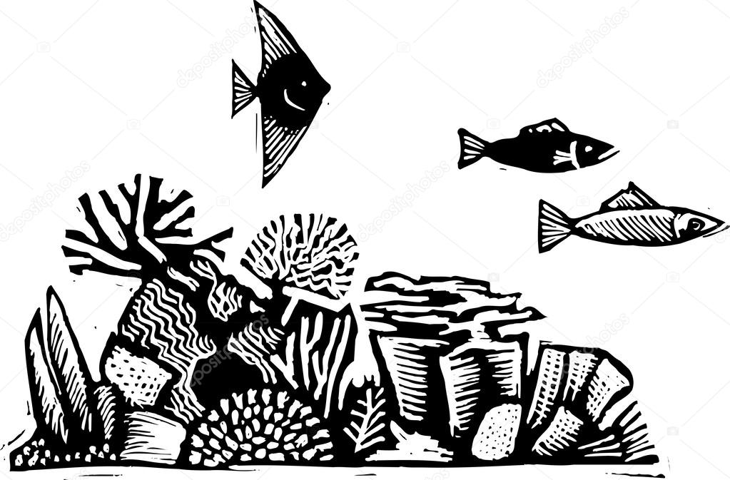 1023x673 Drawn Coral Reef Vector