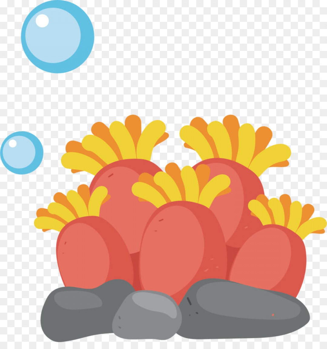 1080x1152 Png Crxeteil Cartoon Clip Art Vector Map Coral Lazttweet